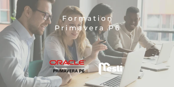 Mesli Consulting propose des formations Primavera P6 personnalisées