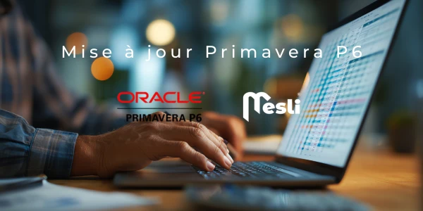 Ne perdez pas vos données actuelles en adoptant le logiciel Primavera P6