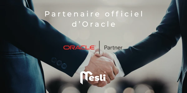 Mesli Consulting propose la vente de licence Primavera P6, logiciel Oracle