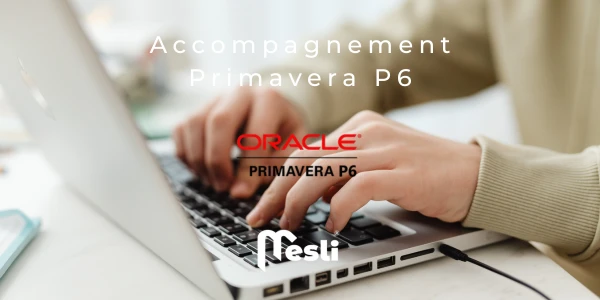 Faites vous accompagner par des experts pour implémenter Primavera P6 dans vos projets